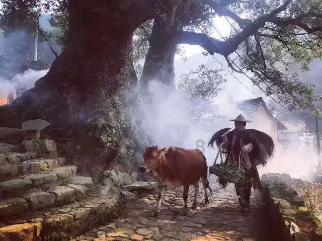冰晶对对碰